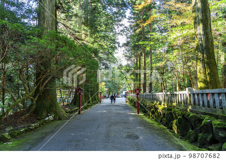 【神奈川県】豊かな自然に囲まれた箱根神社 98707682