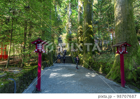 【神奈川県】豊かな自然に囲まれた箱根神社の石段 98707687