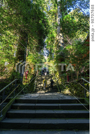 【神奈川県】豊かな自然に囲まれた箱根神社の石段 98707688