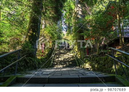 【神奈川県】豊かな自然に囲まれた箱根神社の石段 98707689