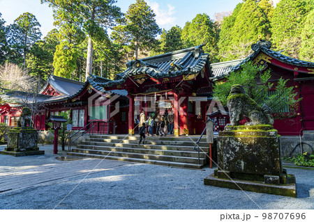 【神奈川県】豊かな自然に囲まれた箱根神社の本殿 98707696