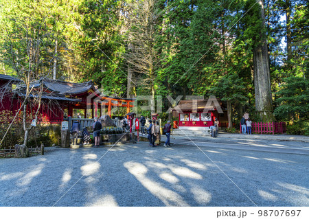 【神奈川県】豊かな自然に囲まれた九頭龍神社と安産杉 【神奈川県】豊かな自然に囲まれた九頭龍神社と安産杉 98707697