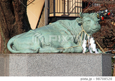 徳丸北野神社(板橋) 徳丸北野神社(板橋) 98708520