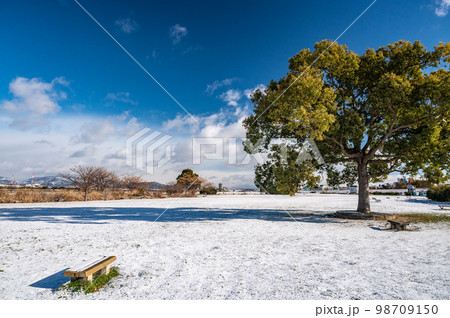 雪の寝屋川市淀川河川公園 雪の寝屋川市淀川河川公園 98709150
