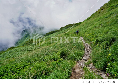 狩場山6合目の草原と登山道 狩場山6合目の草原と登山道 98709336