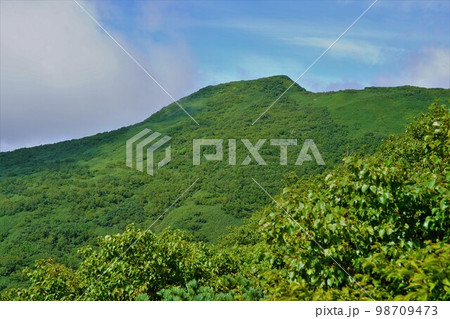 登山道からの狩場山頂 98709473