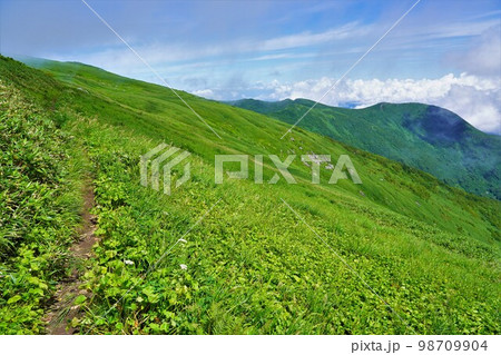 狩場山頂付近の草原登山道と東狩場山 98709904