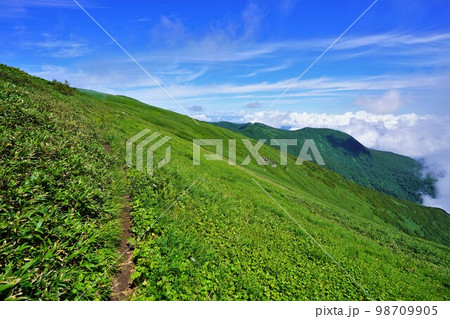 狩場山頂付近の草原登山道と東狩場山 狩場山頂付近の草原登山道と東狩場山 98709905