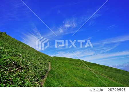 狩場山頂の草原登山道と青空 狩場山頂の草原登山道と青空 98709993