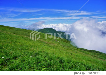 狩場山頂の草原登山道と青空と東狩場山 狩場山頂の草原登山道と青空と東狩場山 98709996