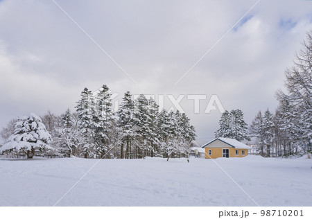Snow fields with house on cloudy day 98710201
