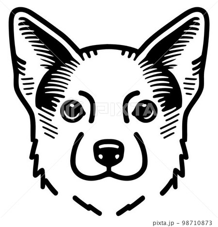 Cute dog domestic animal head 98710873