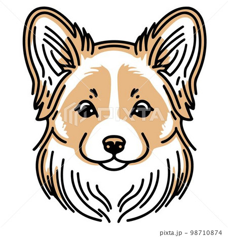 Cute dog domestic animal head Cute dog domestic animal head 98710874