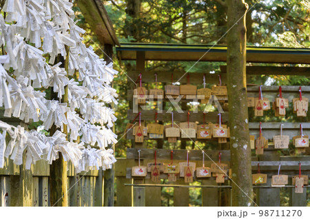 大雄山最乗寺 大雄山最乗寺 98711270