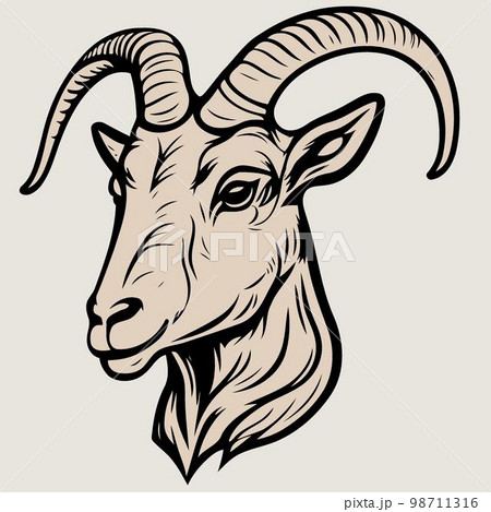 animal head domestic goat animal head domestic goat 98711316