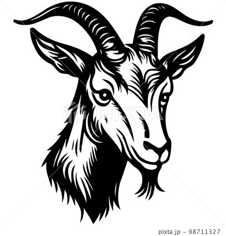 animal head domestic goat 98711327