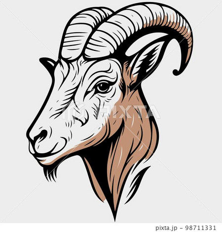 animal head domestic goat 98711331