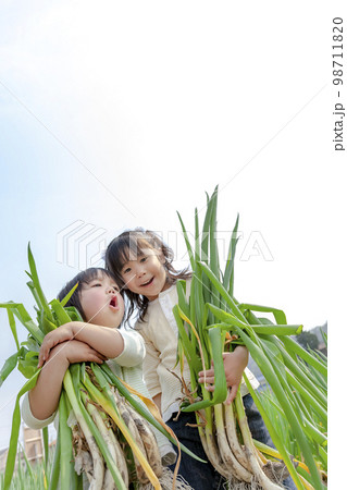 畑で収穫したネギを持つ姉弟 98711820