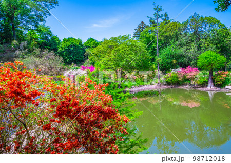 池ある新緑と躑躅の私市植物園 98712018