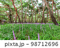 フル 夏 花 98712696