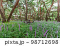 フル 夏 花 98712698