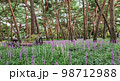 フル 夏 花 98712988