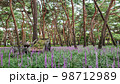 フル 夏 花 98712989