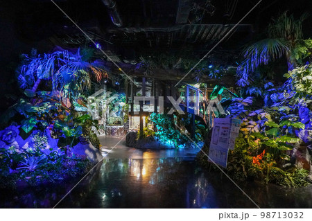DMMかりゆし水族館 98713032