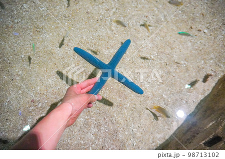 DMMかりゆし水族館 DMMかりゆし水族館 98713102
