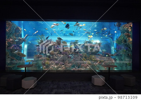 DMMかりゆし水族館 DMMかりゆし水族館 98713109