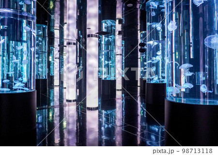 DMMかりゆし水族館 98713118