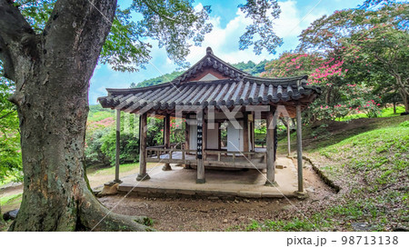 スポット 花 観光地 98713138