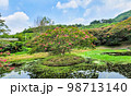 スポット 花 観光地 98713140