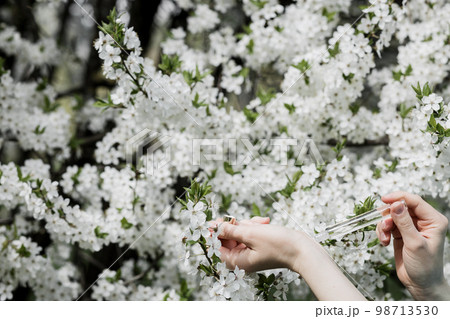 gentle spring perfume gentle spring perfume 98713530