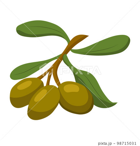 Olives. vector illustration on a white background 98715031