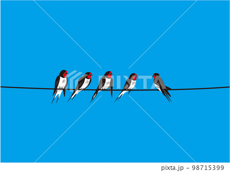 ツバメ03電線青空 ツバメ03電線青空 98715399