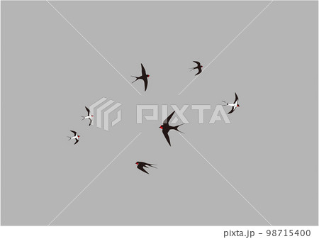 ツバメ02飛翔曇り空 98715400