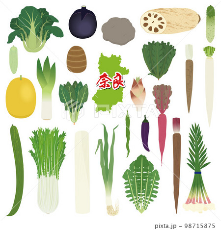 奈良県の伝統野菜のイラストセット 98715875