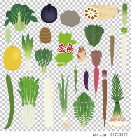 奈良県の伝統野菜のイラストセット 98715875