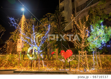 大府市　ゴールドポケットパークのイルミネーション 98716537