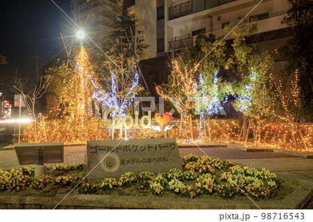 大府市　ゴールドポケットパークのイルミネーション 98716543
