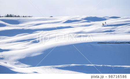 鳥取砂丘の雪景色 鳥取砂丘の雪景色 98716586