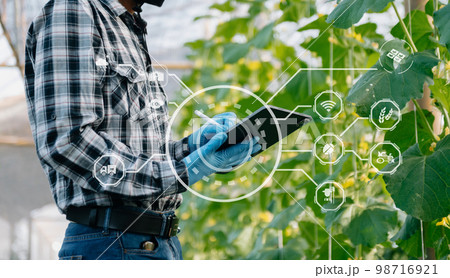 Agriculture technology farmer woman holding tablet or tablet technology to research about agriculture problems analysis data and visual icon. 98716921