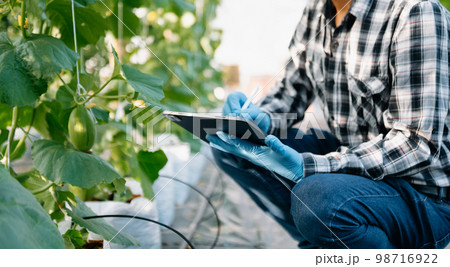 Farmer man using digital tablet computer in field, technology application in agricultural growing activity, . 98716922