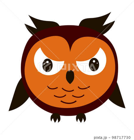 Angry cartoon owl isolated on white background. Angry cartoon owl isolated on white background. 98717730