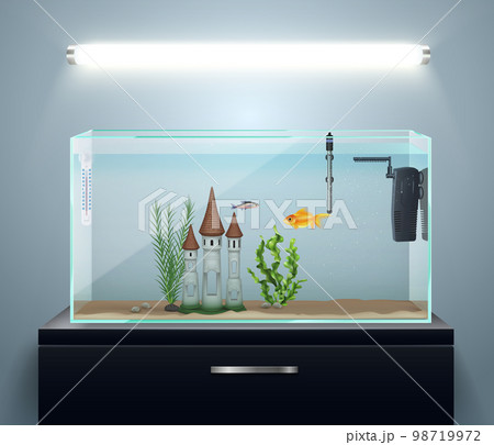 Aquarium Realistic Composition Aquarium Realistic Composition 98719972
