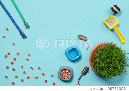 Flat lay composition with accessories for a cat on a blue background. Pet care. 98721306