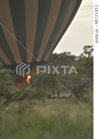 アフリカの動物 98721951