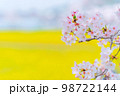 桜 98722144