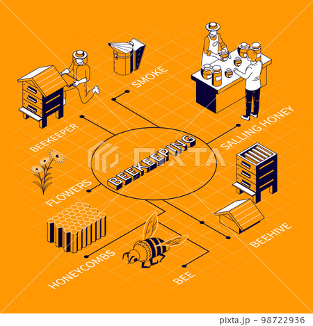 Beekeeping Isometric Flowchart Composition 98722936